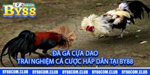 Đá Gà Cựa Dao – Trải Nghiệm Cá Cược Hấp Dẫn Tại by88