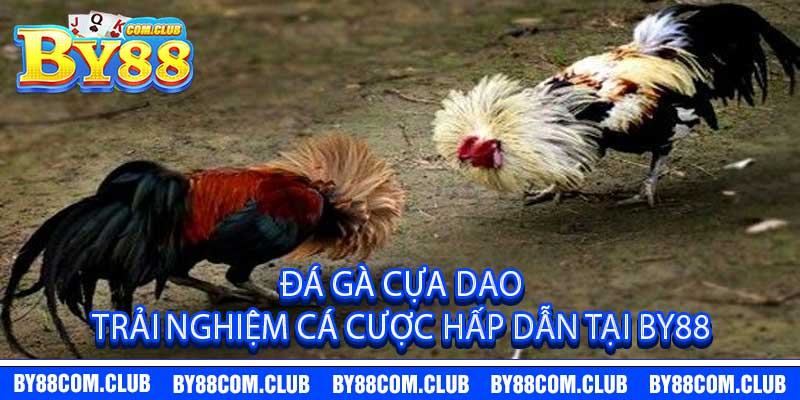 Đá Gà Cựa Dao – Trải Nghiệm Cá Cược Hấp Dẫn Tại by88